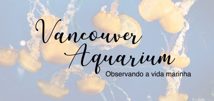 Venha conhecer o aquário de Vancouver, um passeio bem família e super divertido! #vancouveraquarium #Vancouver #DiacasdePasseio