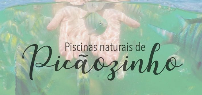 imagem de peixe colorido nas águas de Picãozinho