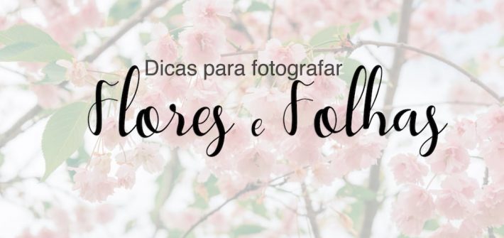 Veja dicas para fotografar flores e folhas durante suas viagens! Post ilustrados com imagens que podem ser usadas como fundo de tela para celular. Acesse!