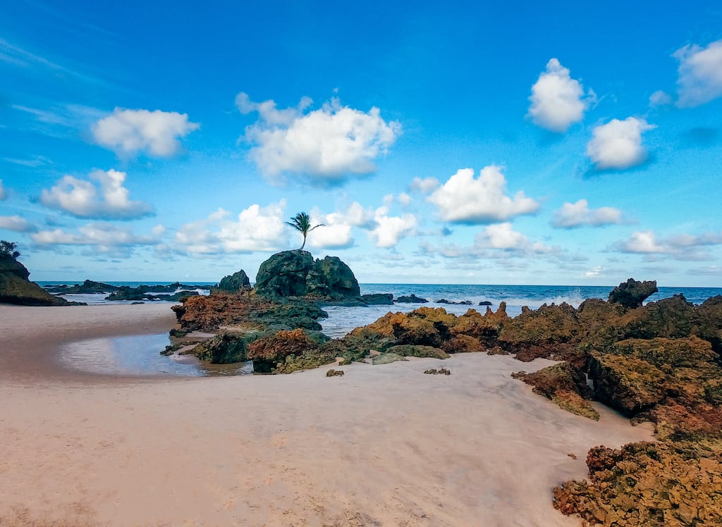 Praia de Tambaba litoral sul de João Pessoa Câmera Passaporte Praia de Tambaba litoral sul de João Pessoa Câmera Passaporte