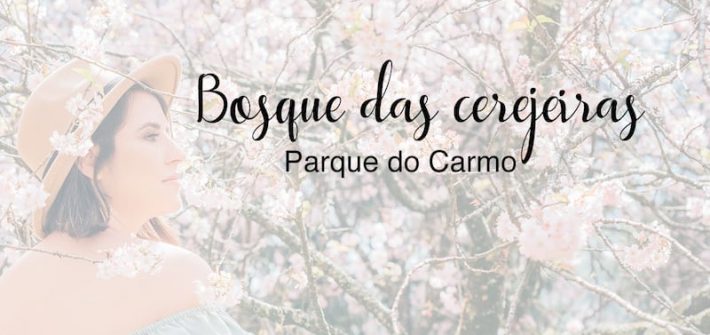 Veja fotos no bosque das cerejeiras no parque do Carmo, em São Paulo.
