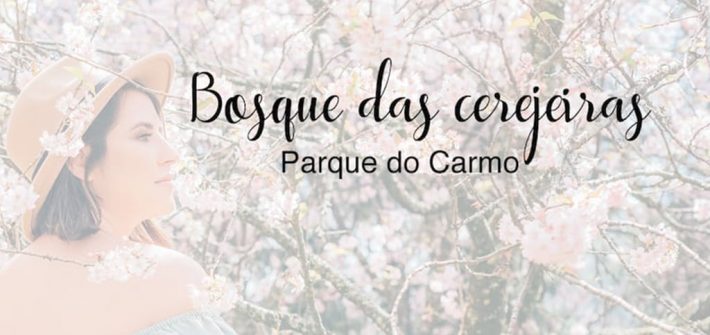 Veja fotos no bosque das cerejeiras no parque do Carmo, em São Paulo.