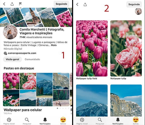 Imagem explicativa dos passos para baixar uma foto do Pinterest, primeiros passos.