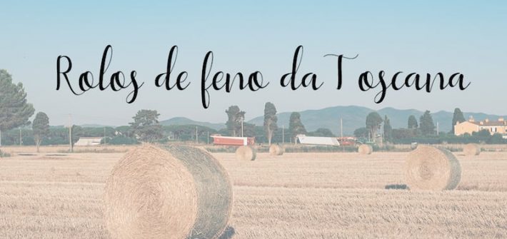 Veja dicas e fotos nos rolos de feno da Toscana! Clique para ler!